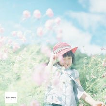 Load image into Gallery viewer, PENTACON six TL【動作品】【実写済み❗️】中判カメラ