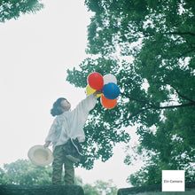 画像をギャラリービューアに読み込む, Flexaret VI【完動品】【実写済み❗️】【希少】【オーバーホール済み】