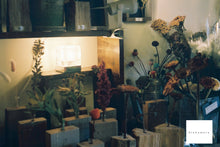 画像をギャラリービューアに読み込む, Minolta Panorama Zoom135【完動品】