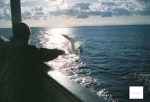 画像をギャラリービューアに読み込む, FUJIFILM KLASSE【完動品】【希少❗️】状態◎