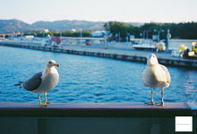 Load image into Gallery viewer, YASHICA FX-3 SUPER 2000【完動品】【希少❗️】CONTAX45mmF2.8MMJレンズ付き❗️