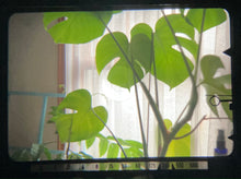 画像をギャラリービューアに読み込む, Minolta SRT SUPER(BK)【完動品】【レア❗️】