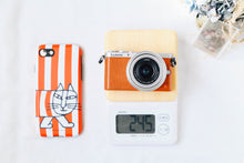 画像をギャラリービューアに読み込む, Panasonic LUMIX DMC-GM1状態◎▪️ミラーレス一眼レフカメラ▪️デジタルカメラ