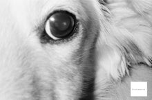 画像をギャラリービューアに読み込む, GOKO Macromax FR-350【完動品】【レア❗️】