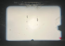 画像をギャラリービューアに読み込む, Rolleiflex SL35 M & Voigtlander 50mm F1.8【完動品✨】希少モデル❗️ローライ35mm一眼レフ