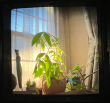 画像をギャラリービューアに読み込む, Kowa SIX【完動品】【美品】【実写済み❗️】