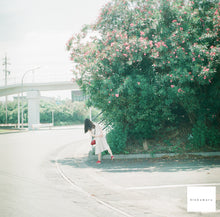 画像をギャラリービューアに読み込む, MINOLTA AUTO CORD【完動品】