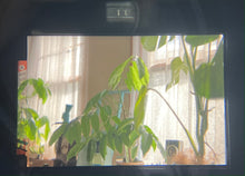 画像をギャラリービューアに読み込む, Nikon FE(BK)【完動品】人気No.1❗️王道の明るいレンズ付き❗️