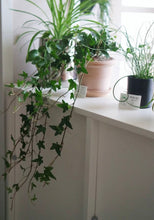 Load image into Gallery viewer, Samsung NX mini ミントブルー|広角単焦点・Wi-Fi搭載・自撮りOKの軽量ミラーレス【美品・即撮影OK】