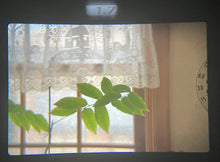 Load image into Gallery viewer, PENTAX MX【完動品】