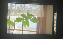 画像をギャラリービューアに読み込む, Konica AUTOREX 【完動品】途中でハーフ切り替え可能❗️