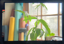 画像をギャラリービューアに読み込む, Nikon FE(SV)【完動品】初めての一眼レフにもおすすめ