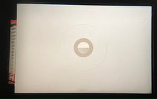 画像をギャラリービューアに読み込む, Nikon FE(SV)【完動品】初めての一眼レフにもおすすめ