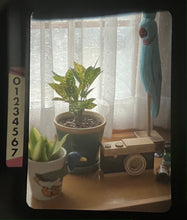 画像をギャラリービューアに読み込む, OLYMPUS PEN FT【完動品】ハーフ一眼レフカメラ