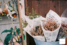 画像をギャラリービューアに読み込む, OLYMPUS 35DC【完動品】ナチュラル・マットな写り・張り革変更オプション有り