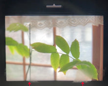 画像をギャラリービューアに読み込む, Nikon F FTN 希少なブラックボディ🐦⬛【完動品】発売当時の箱・ケース等フルセット❗️