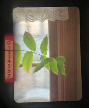 画像をギャラリービューアに読み込む, OLYMPUS PEN FT 希少ブラックボディ🐦⬛【完動品】