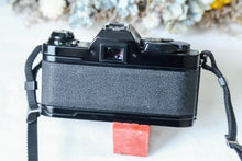 画像をギャラリービューアに読み込む, ✨完動品✨ Canon AL-1 単四電池対応 📸 明るい50mm F1.8レンズ付き 🌟 ピント合わせランプ機能付