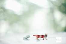 Load image into Gallery viewer, SONY α6000 グラファイトグレー ILCE-6000【完動品】【美品❗️】オールドレンズ・マウントアダプターおまけ付き多数❗️▪️デジタル一眼ミラーレスカメラ