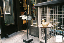 画像をギャラリービューアに読み込む, OLYMPUS Citia160【完動品】