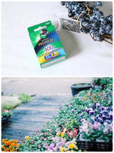 画像をギャラリービューアに読み込む, 期限切れフィルム 各種|格安〜レアまで📸 冷蔵保存品 35mm/ポジ/中判対応