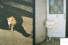 Load image into Gallery viewer, OLYMPUS PEN EED キャメル🐫【完動品】明るいF1.7レンズ・清掃済み✨