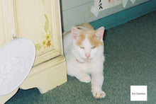 画像をギャラリービューアに読み込む, OLYMPUS μIII 150【完動品】【美品❗️】