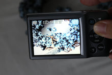 Load image into Gallery viewer, Canon IXY150【完動品】
