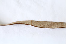 画像をギャラリービューアに読み込む, Argus C33 最終型【超希少❗️ 完動品】実写済み✨アメリカのレンジファインダーカメラ🇺🇸🗽