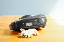 画像をギャラリービューアに読み込む, Canon New Autoboy【完動品】