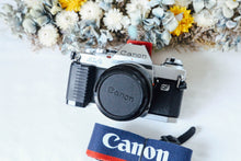 Load image into Gallery viewer, ✨完動品✨ Canon AL-1 単四電池対応 📸 明るい50mm F1.4レンズ付き 🌟 ピント合わせランプ機能付
