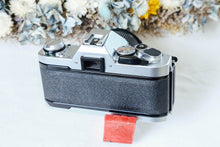 Load image into Gallery viewer, ✨完動品✨ Canon AL-1 単四電池対応 📸 明るい50mm F1.4レンズ付き 🌟 ピント合わせランプ機能付