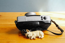 画像をギャラリービューアに読み込む, Canon Autoboy SII【完動品】