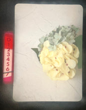 画像をギャラリービューアに読み込む, OLYMPUS PEN FT【完動品】ハーフ一眼レフカメラ