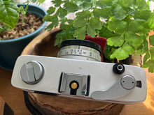 画像をギャラリービューアに読み込む, Konica C35 Flash matic 🧸ミルクティーベージュ|完動品・張り替えカスタム済み✨