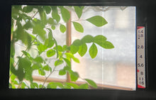 Load image into Gallery viewer, 📸 Konica Autorex|途中でハーフにも切り替えOK✨超希少な一眼レフ・完動品・美品