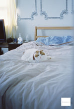 Load image into Gallery viewer, YASHICA Electro35GX (BK)【完動品】