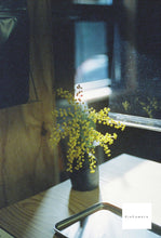 画像をギャラリービューアに読み込む, CONTAX Aria & Planar50mmF1.4MMJ【完動品】修理サービス点検済み❗️