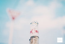 画像をギャラリービューアに読み込む, Mamiya NC1000S【完動品】【希少❗️】状態◎