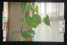 画像をギャラリービューアに読み込む, FUJICA ST605II【完動品】【希少❗️】バブルボケレンズ&タクマーレンズSET❗️