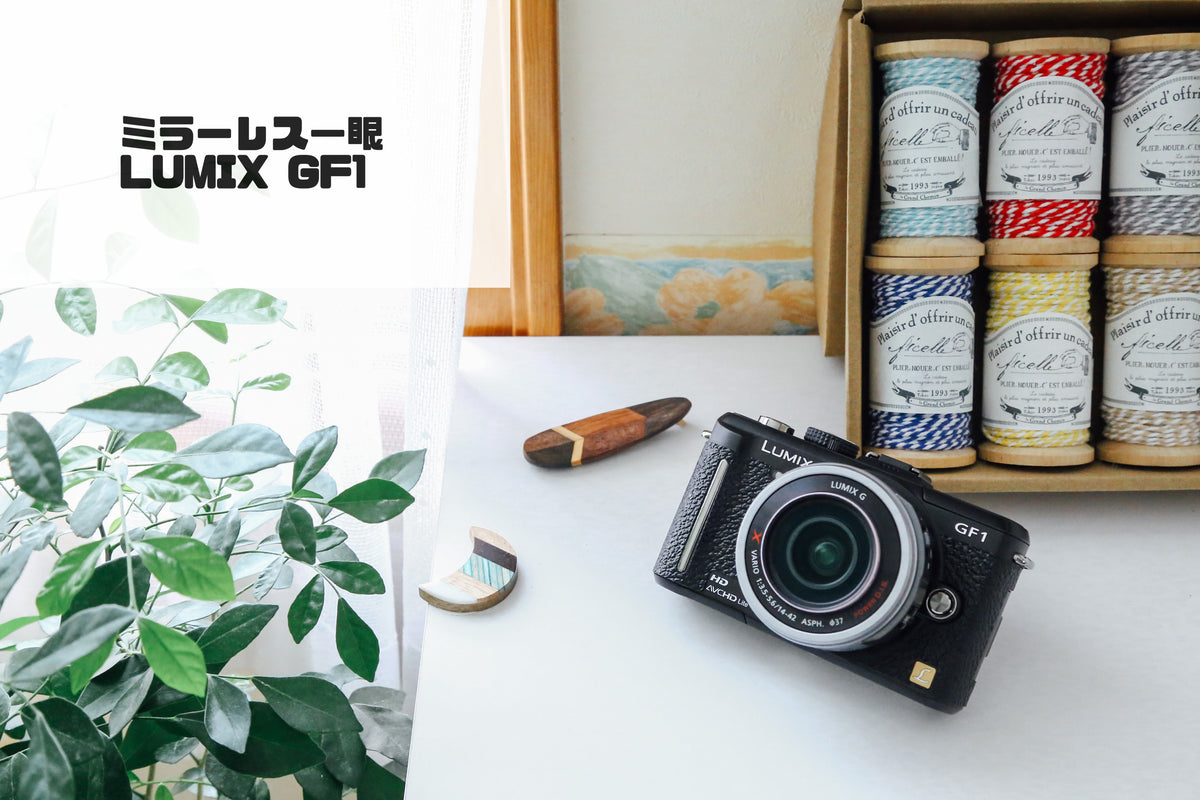 Panasonic Lumix GF1【実写済み❗️】【フルセット】【完動品】状態