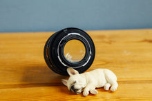 画像をギャラリービューアに読み込む, CONTAX Carl Zeiss 50mmF1.4MMJ【完動品】純正フィルター付き❗️Aria、S2などに!Y/Cマウント