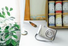 画像をギャラリービューアに読み込む, Panasonic LUMIX TZ20【完動品】【実写済み!】▪️オールドコンデジ▪️デジタルカメラ