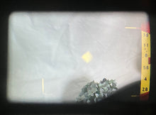 画像をギャラリービューアに読み込む, RICOH 500 GX【動作品】