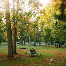 画像をギャラリービューアに読み込む, YASHICA-D【完動品】状態◎