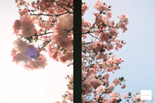 Load image into Gallery viewer, OLYMPUS PEN EF 紫日和🍇🫖【完動品】ハーフカメラ