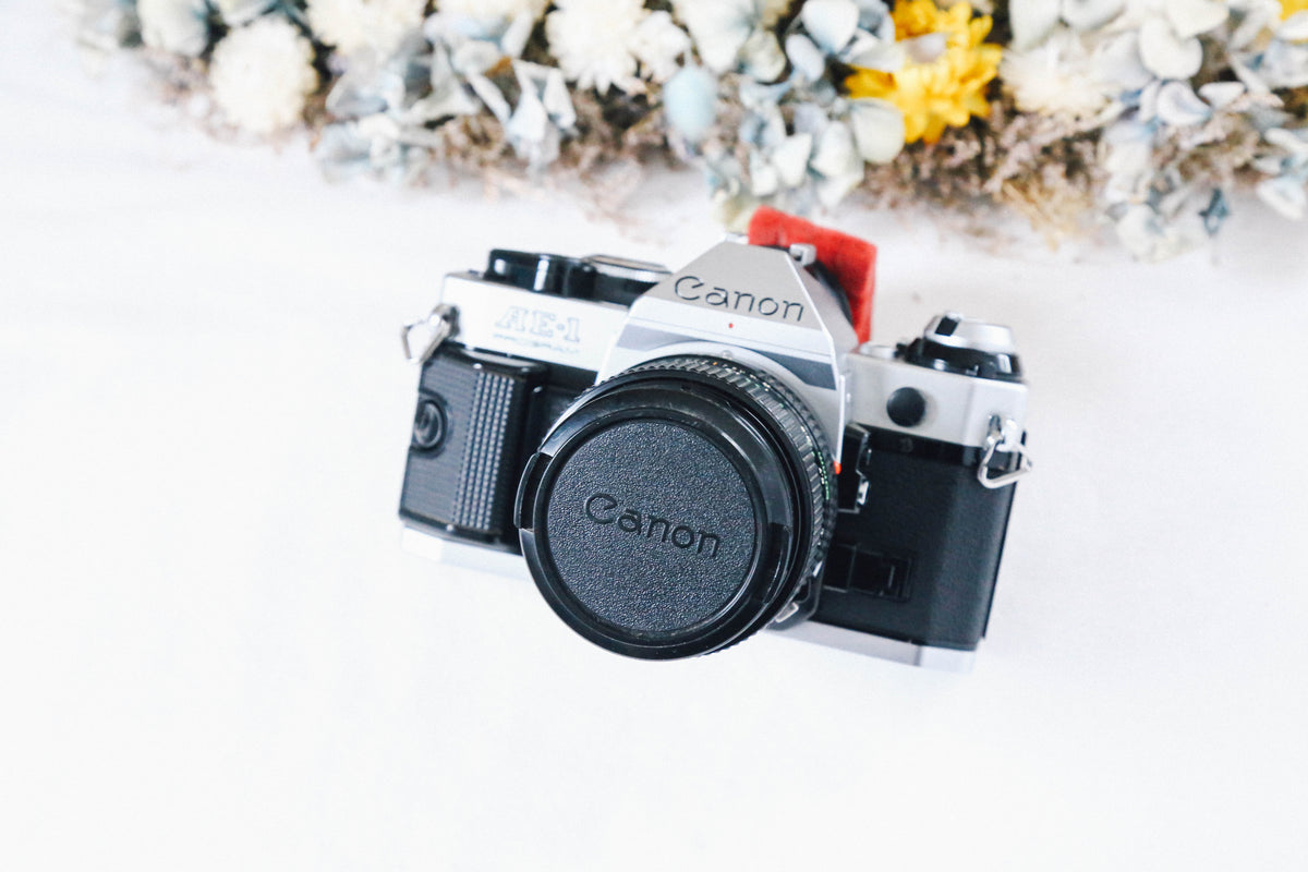 Canon AE-1 Program New FD50mmF1.4 人気なシルバーボディに王道