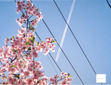 Load image into Gallery viewer, 📸 PENTAX Auto110 レンズ3本付きセット❗️  110フィルム対応・超小型一眼レフ・明るい単焦点レンズ付き✨