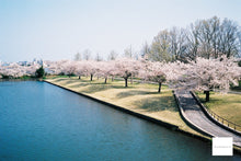 画像をギャラリービューアに読み込む, OLYMPUS SUPERZOOM 160G【完動品】38-160mmズーム|全自動コンパクトフィルムカメラ📸🎞️