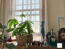 画像をギャラリービューアに読み込む, Canon iNSPiC REC FV-100 グリーン【完動品】水深2mOK💧ほぼ未使用|防水・耐衝撃デジタルカメラ📷